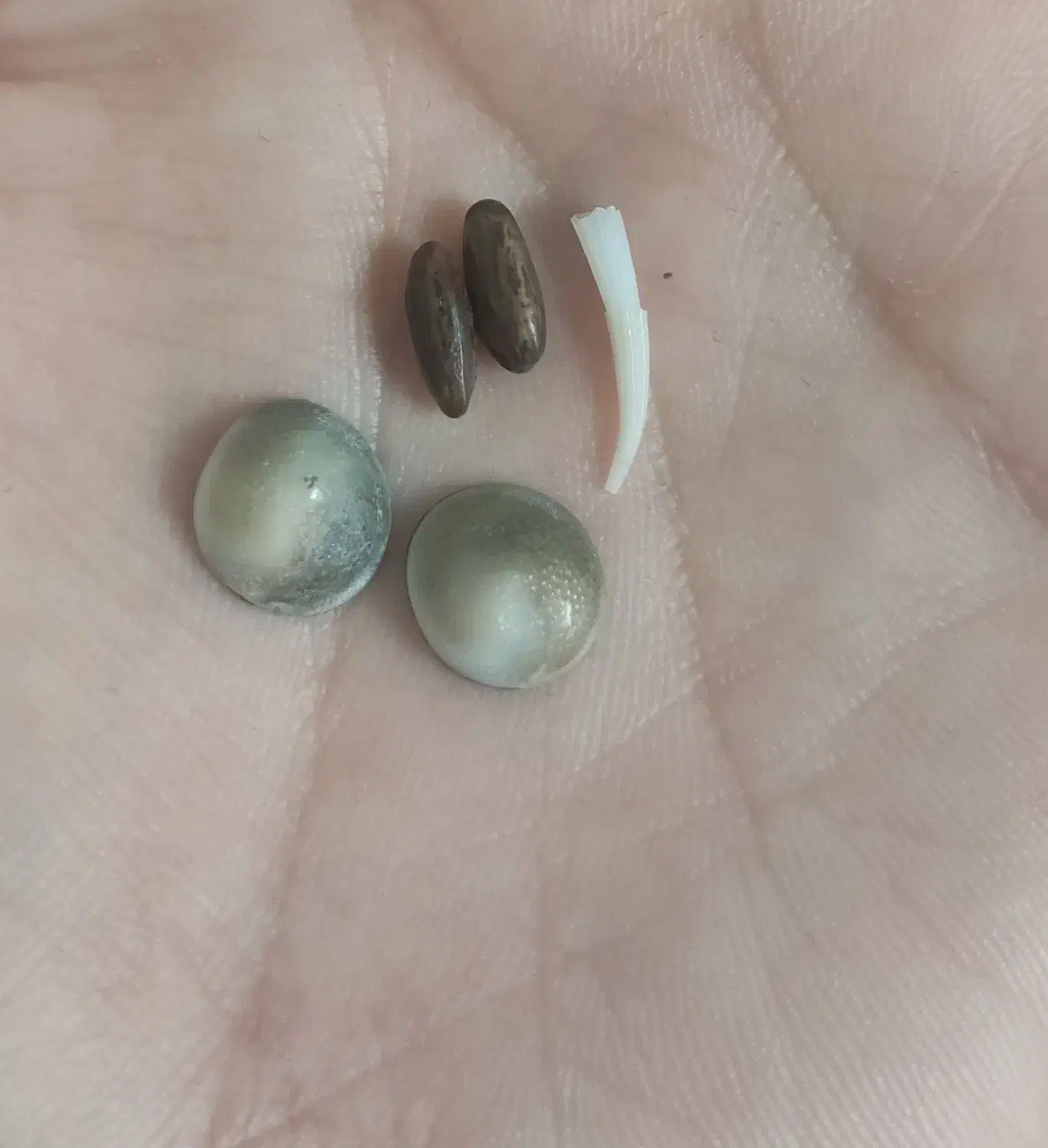 مهره اصل و همه کاره|بدلیجات|شیراز, شاهچراغ|دیوار