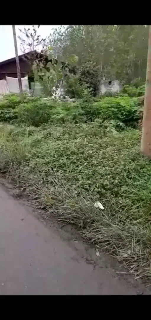 1قطعه مزرعه 500متری بر خیابان 1قطعه زمین 900متری|فروش زمین و ملک کلنگی|آستانه اشرفیه, |دیوار