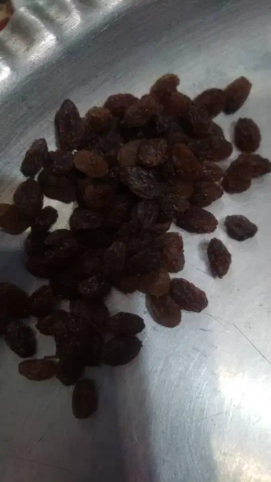 کشمش بیدانه|خوردنی و آشامیدنی|قزوین, |دیوار