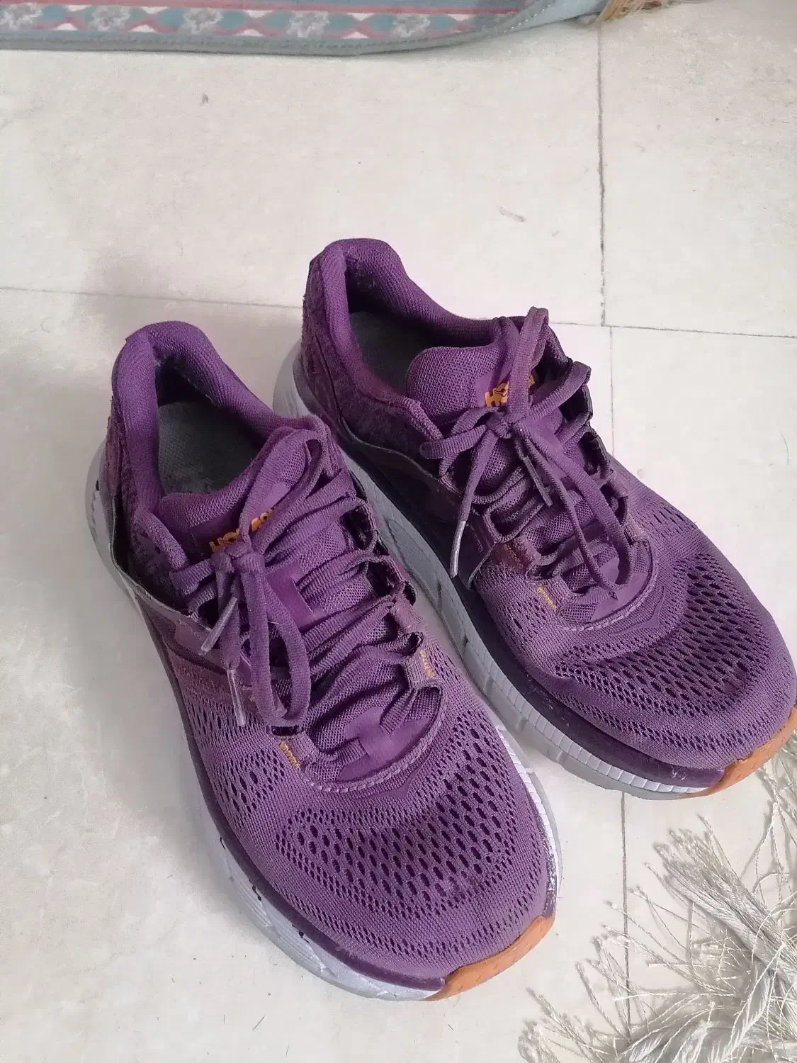 کفش اورجینال|کیف، کفش، کمربند|گرمسار, |دیوار