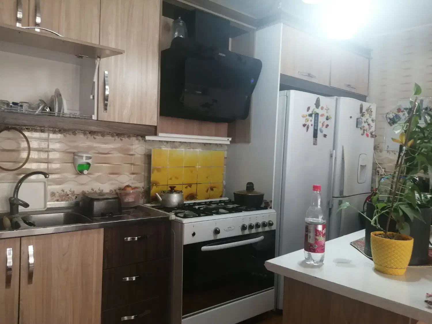 فروش خانه ویلایی|فروش خانه و ویلا|شیراز, تندگویان|دیوار