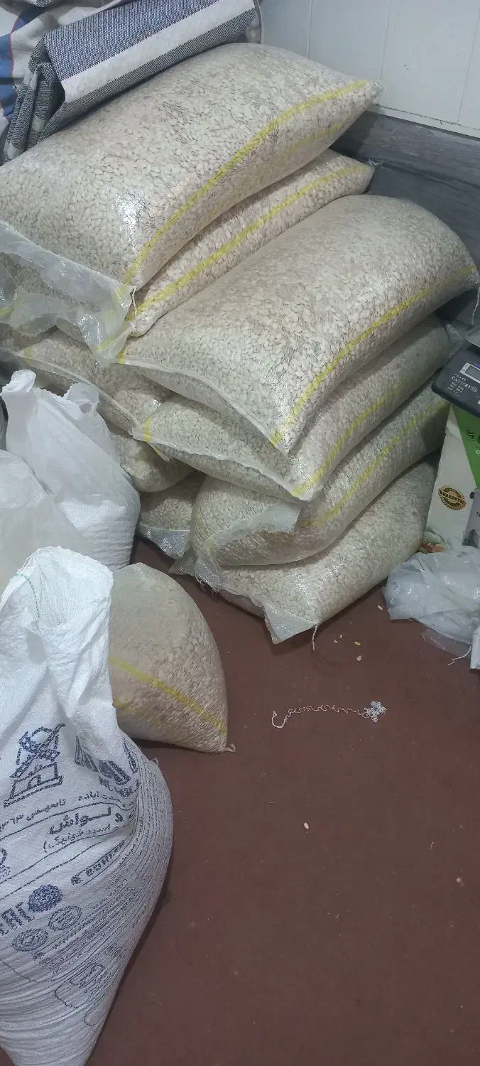 تخمه کدو|خوردنی و آشامیدنی|شیراز, شهرک کوشکک|دیوار