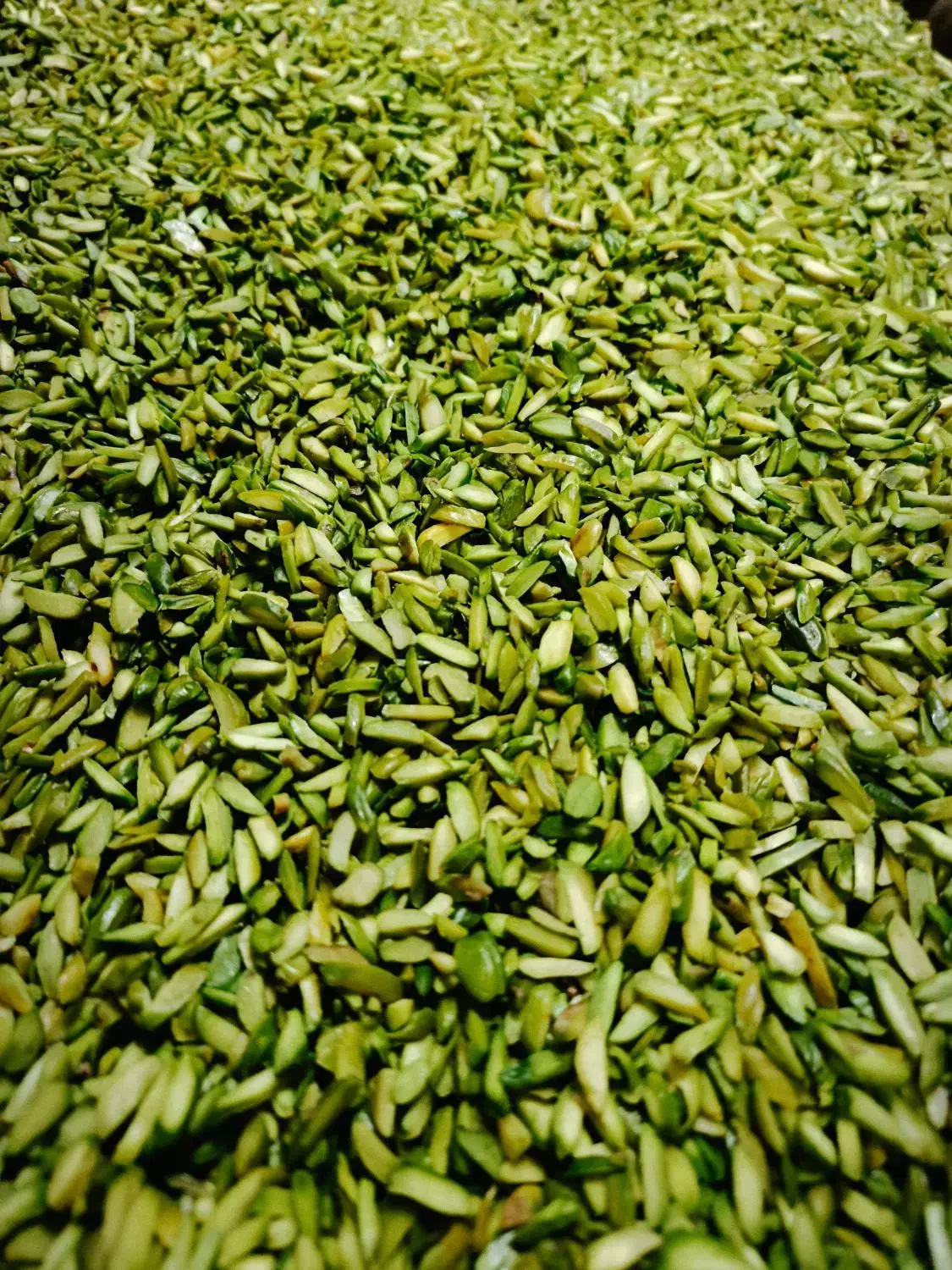 مغز|خوردنی و آشامیدنی|قم, قم نو|دیوار