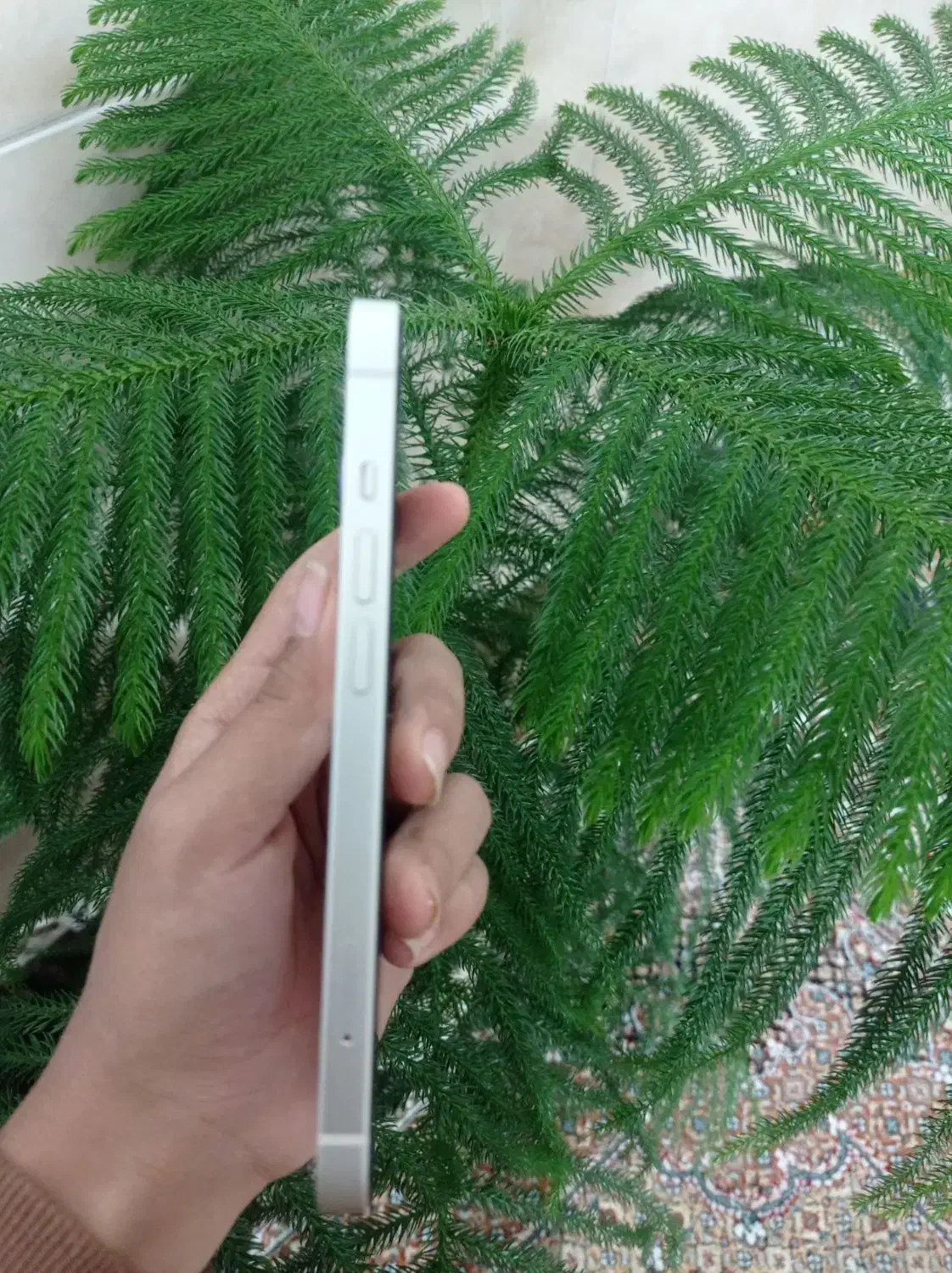 آیفون 13 نرمال|موبایل|مشهد, شهید قربانی|دیوار