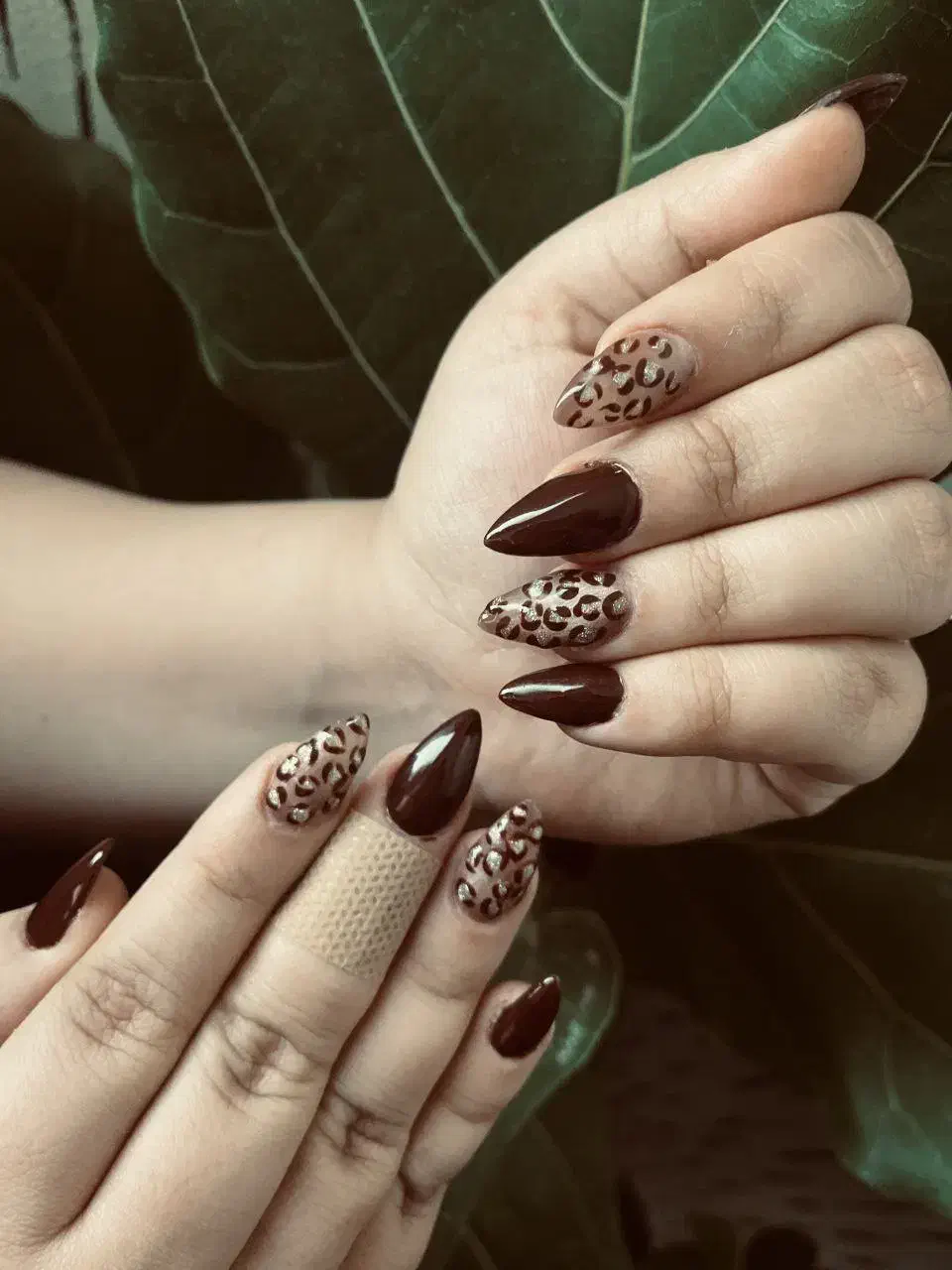 کاشت ناخن|خدمات آرایشگری و زیبایی|کرمانشاه, |دیوار