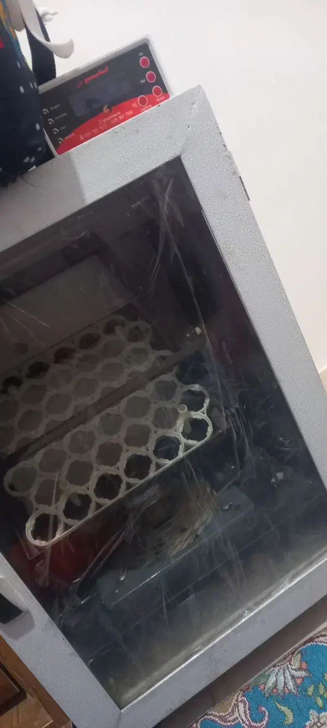 جوجه کشی|لوازم جانبی حیوانات|قدس, شهرقدس|دیوار