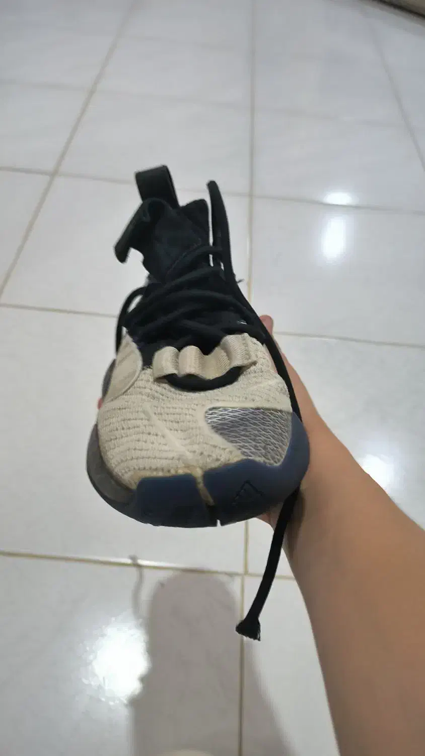 کفش بسکتبال دهن کوسه ای مدلBYW X ادیداس|کیف، کفش، کمربند|مریوان, |دیوار