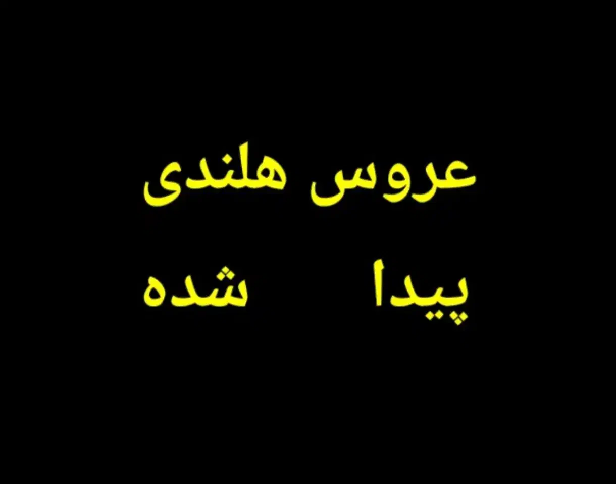 عروس هلندی خاکستری پیدا شده|حیوانات|فردیس, شهرک راه آهن|دیوار