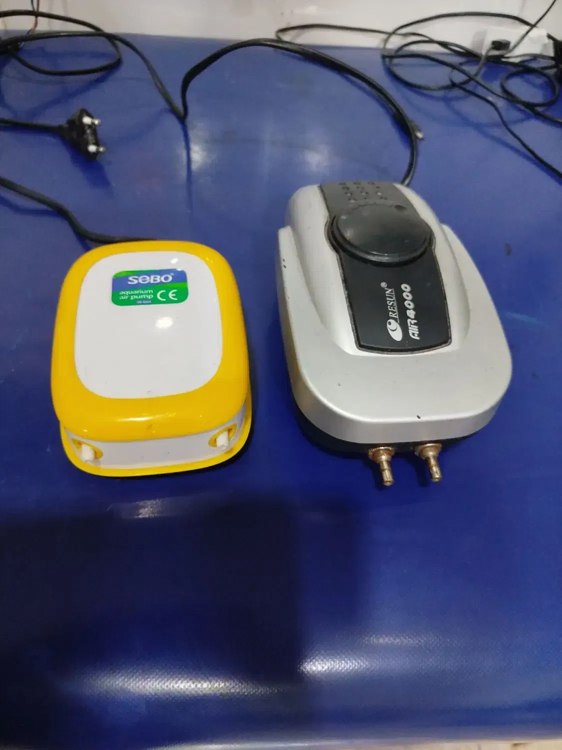 پمپ اکواریوم|ماهی|شیراز, کوشک میدان|دیوار