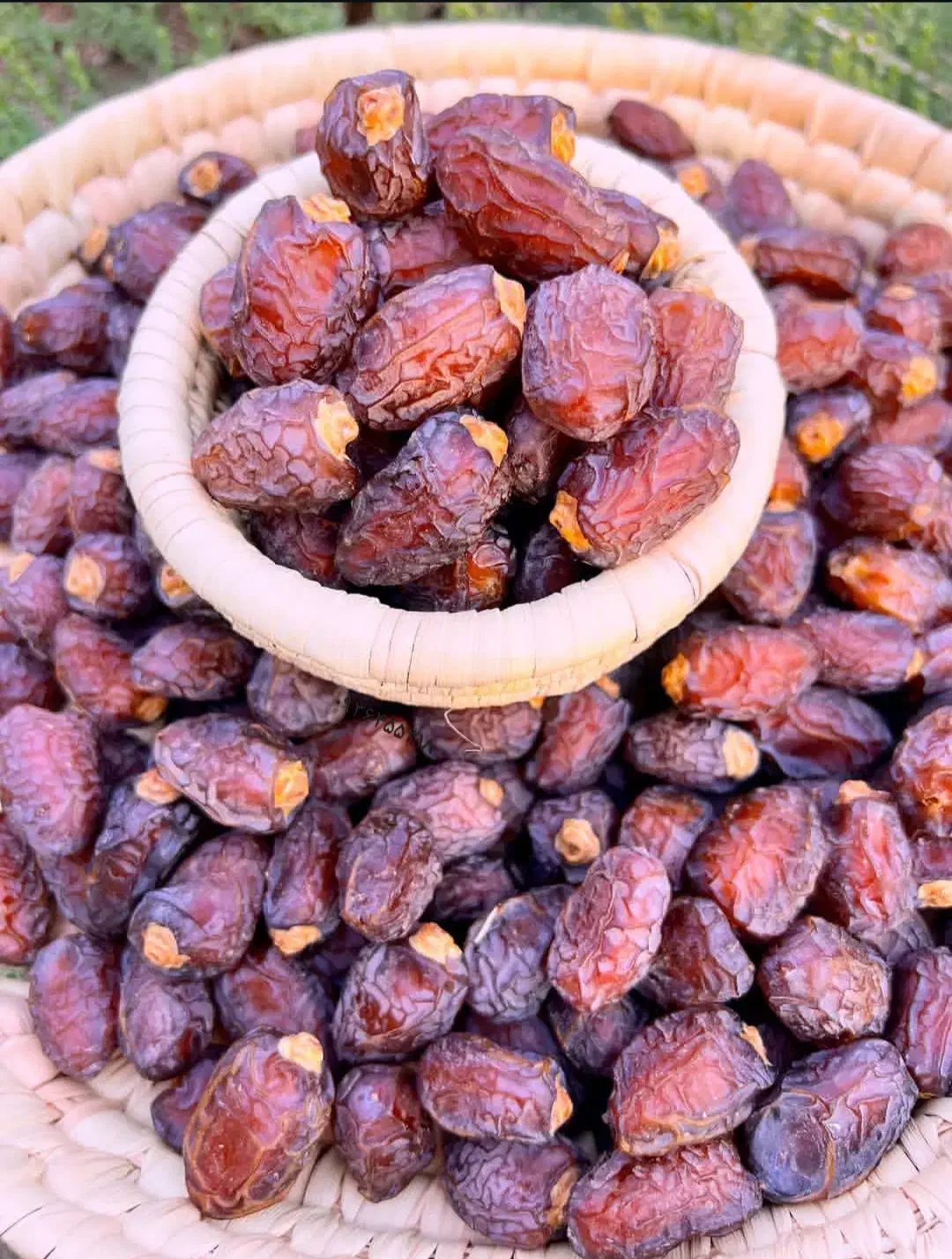 تمر خرما بریم درشت دیری|خوردنی و آشامیدنی|اهواز, کارون|دیوار