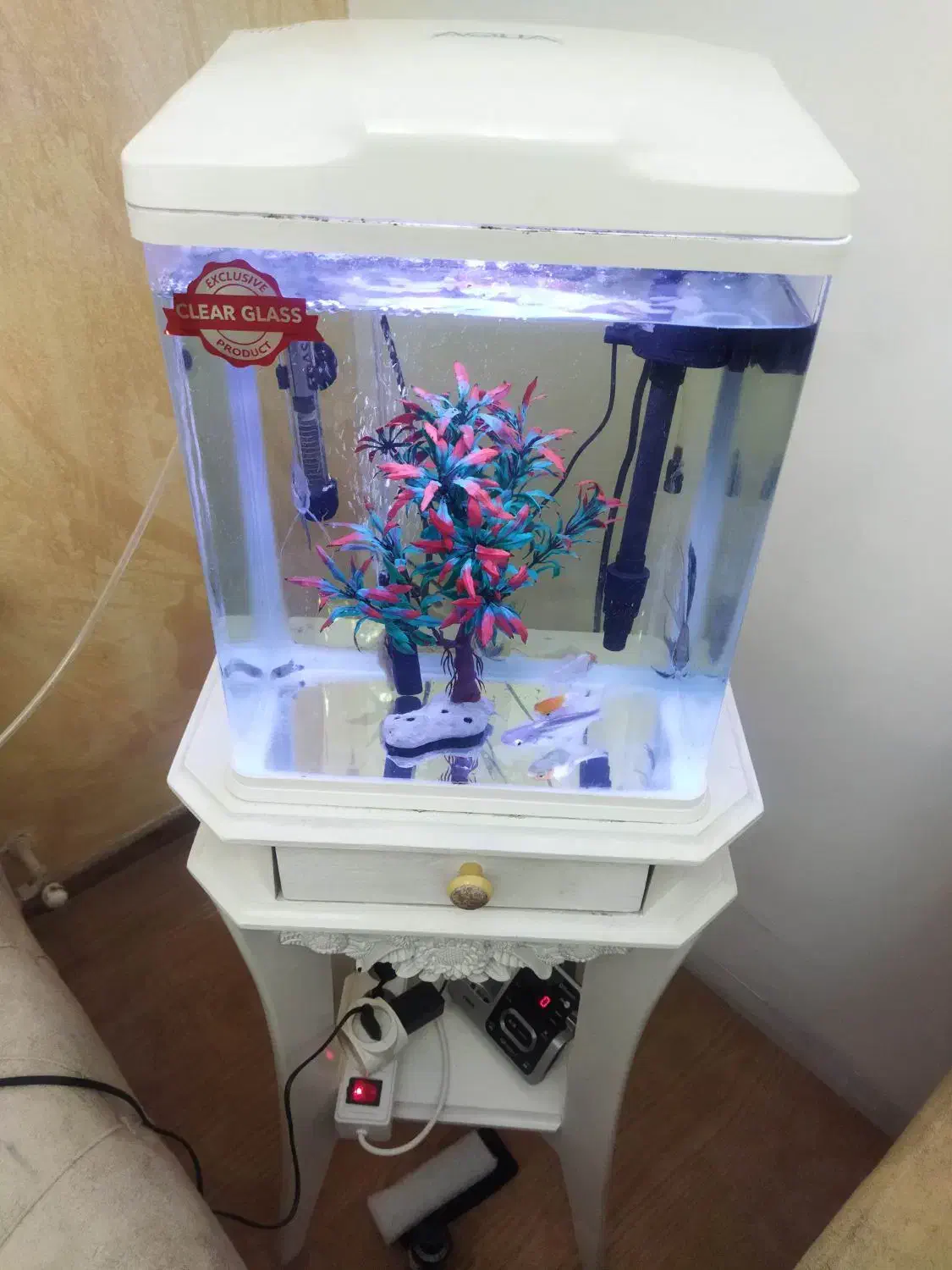 آکواریوم|ماهی|سهند, |دیوار