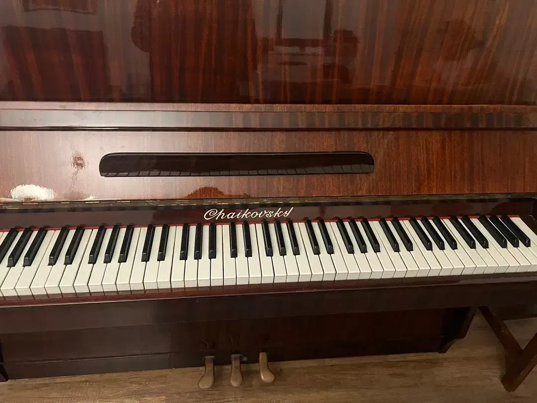 پیانو|پیانو، کیبورد، آکاردئون|گرگان, |دیوار