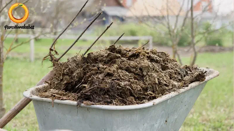 فروش کود حیوانی|خدمات باغبانی و درختکاری|خزل, |دیوار