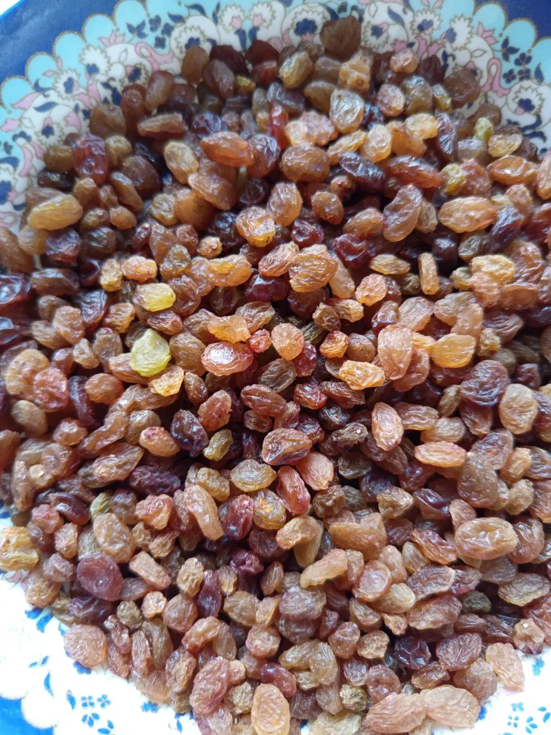 کشمش و شیره انگور|خوردنی و آشامیدنی|نیشابور, مازول|دیوار