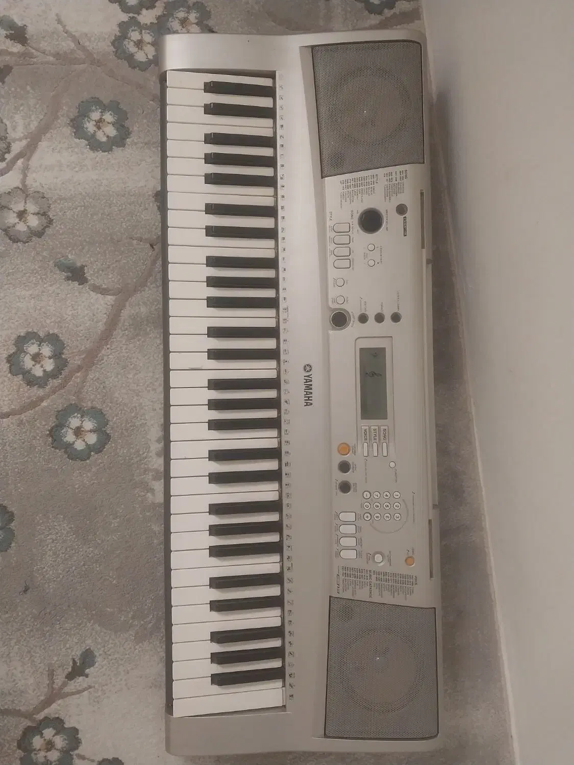 ارگ درحد نو|پیانو، کیبورد، آکاردئون|کیش, |دیوار