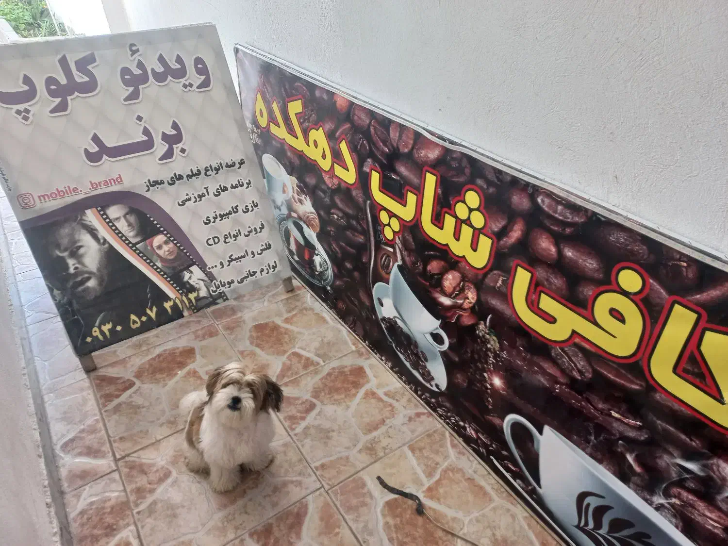 تابلو دو عدد دو رو|تابلو، نقاشی، عکس|بندر ترکمن, |دیوار