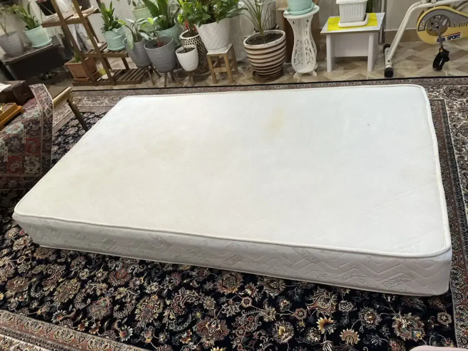 قیمت ۲/۵۰۰|آرایشی، بهداشتی، درمانی|رشت, سیا اسطلخ|دیوار