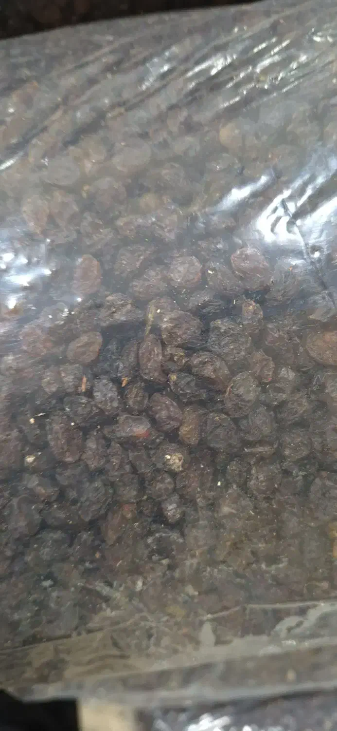 کشمش پاک شده|خوردنی و آشامیدنی|فاروج, |دیوار