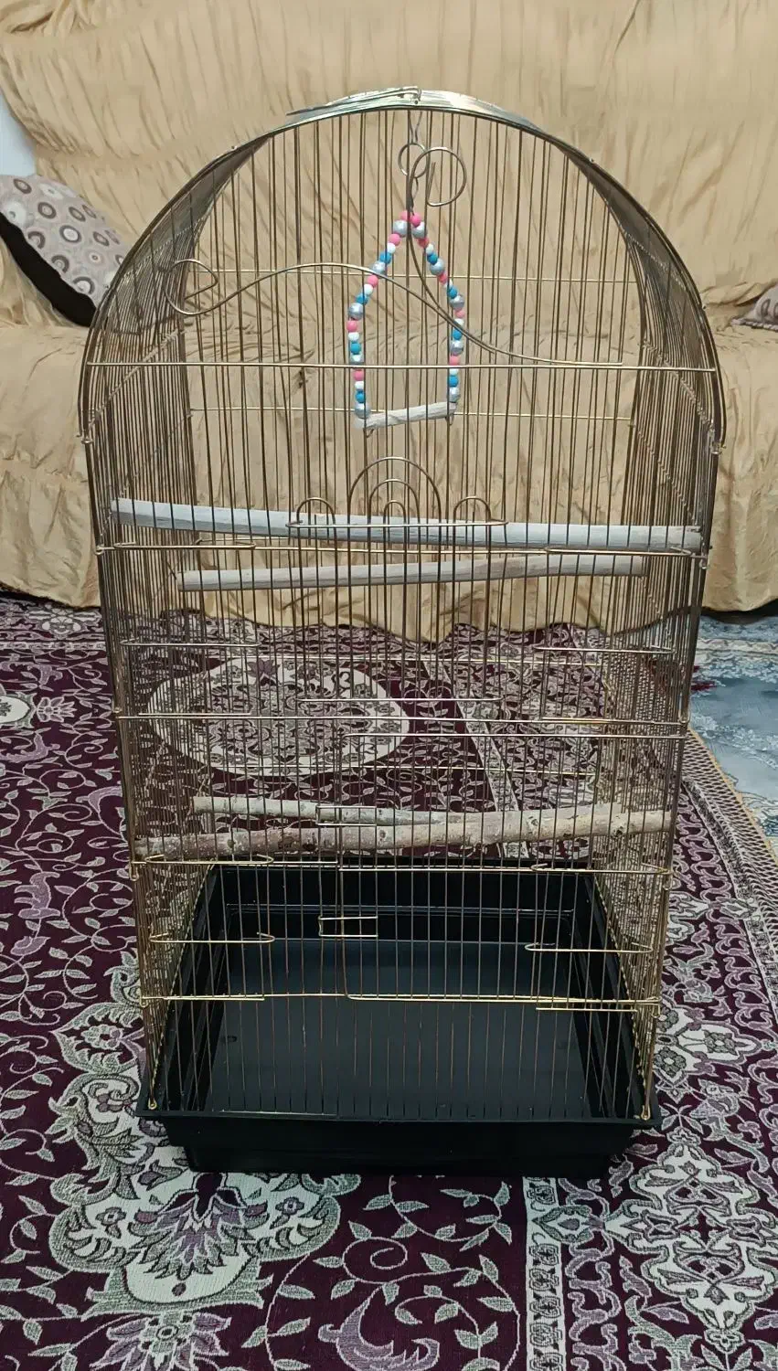 قفس پرنده|لوازم جانبی حیوانات|صائین قلعه, |دیوار