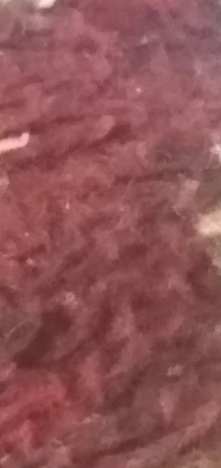 اجاره گله دونی فوری|اجارهٔ دفتر صنعتی، کشاورزی، تجاری|پادنا, |دیوار