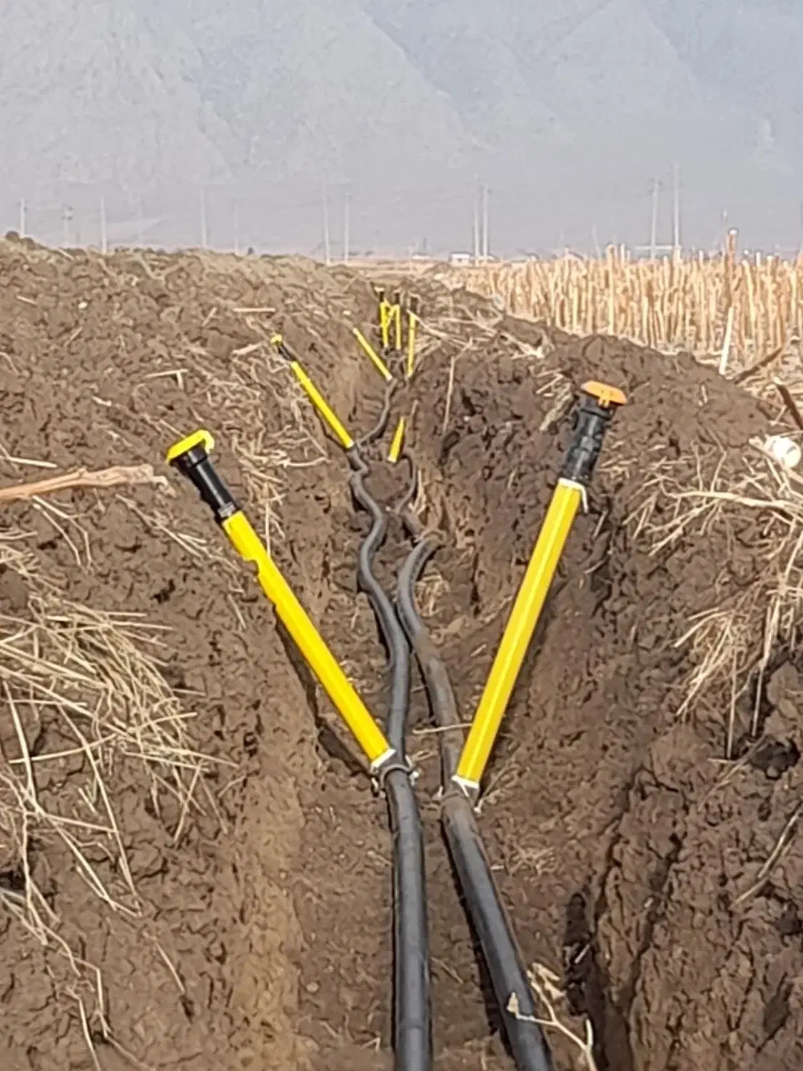 سیستم آبیاری قطره ای و بارانی و جوشکاری پلیتلین|خدمات باغبانی و درختکاری|کرمانشاه, |دیوار