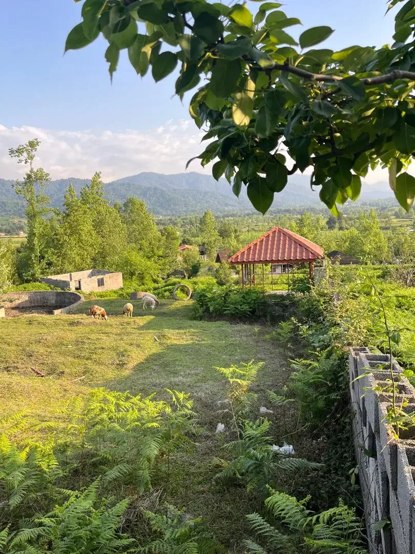 فروش زمین با مجوز گردشگری|فروش زمین و ملک کلنگی|لواسان, |دیوار