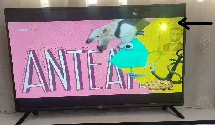 تلویزیون 43ال جی|تلویزیون و پروژکتور|بهبهان, |دیوار