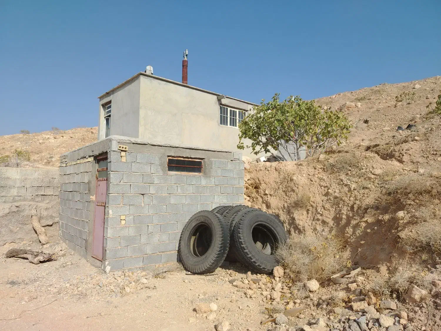 فروش ملک باغ زمین انجیر 2 هکتار|فروش دفتر صنعتی، کشاورزی، تجاری|نیریز, |دیوار