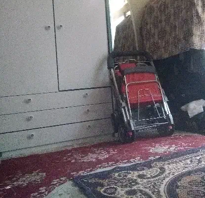 کالسکه بدون سایبان|کالسکه و لوازم جانبی|اصفهان, همدانیان|دیوار