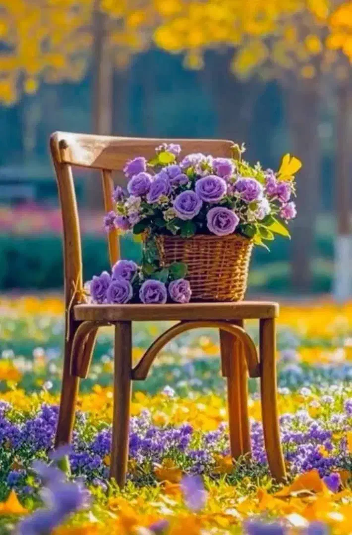 مشاوره میده راجب سازهای سنتی و کلاسیک|فعالیت داوطلبانه|اصفهان, خلیل آباد|دیوار