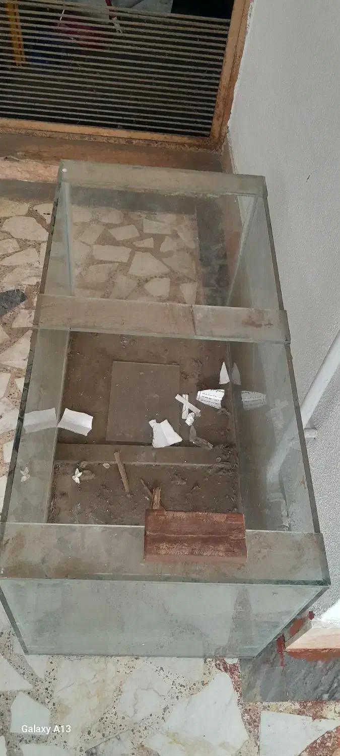 آکواریوم بزرگ|ماهی|رشت, استادسرا|دیوار