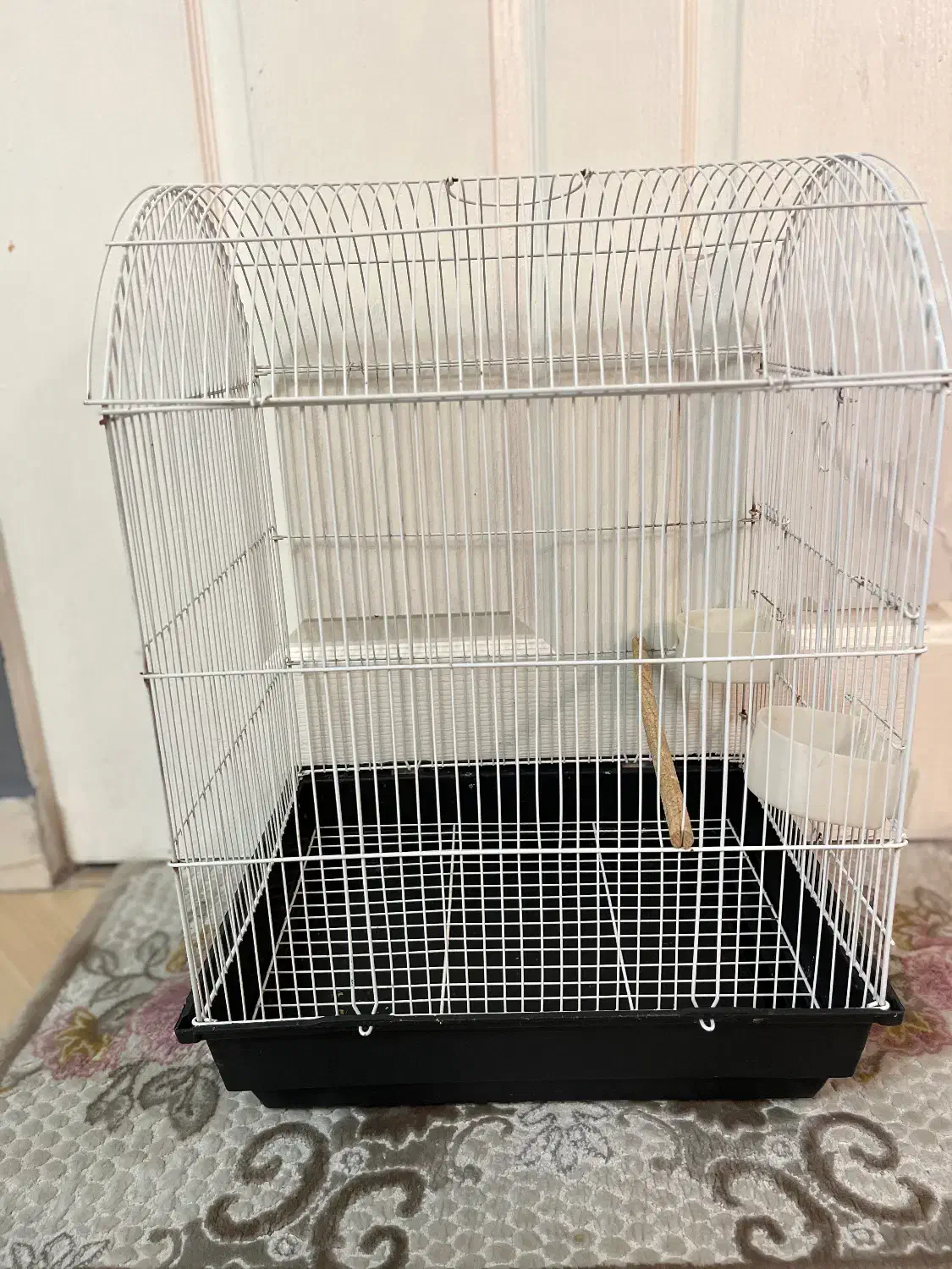 قفس پرنده|لوازم جانبی حیوانات|بندر انزلی, معلم|دیوار