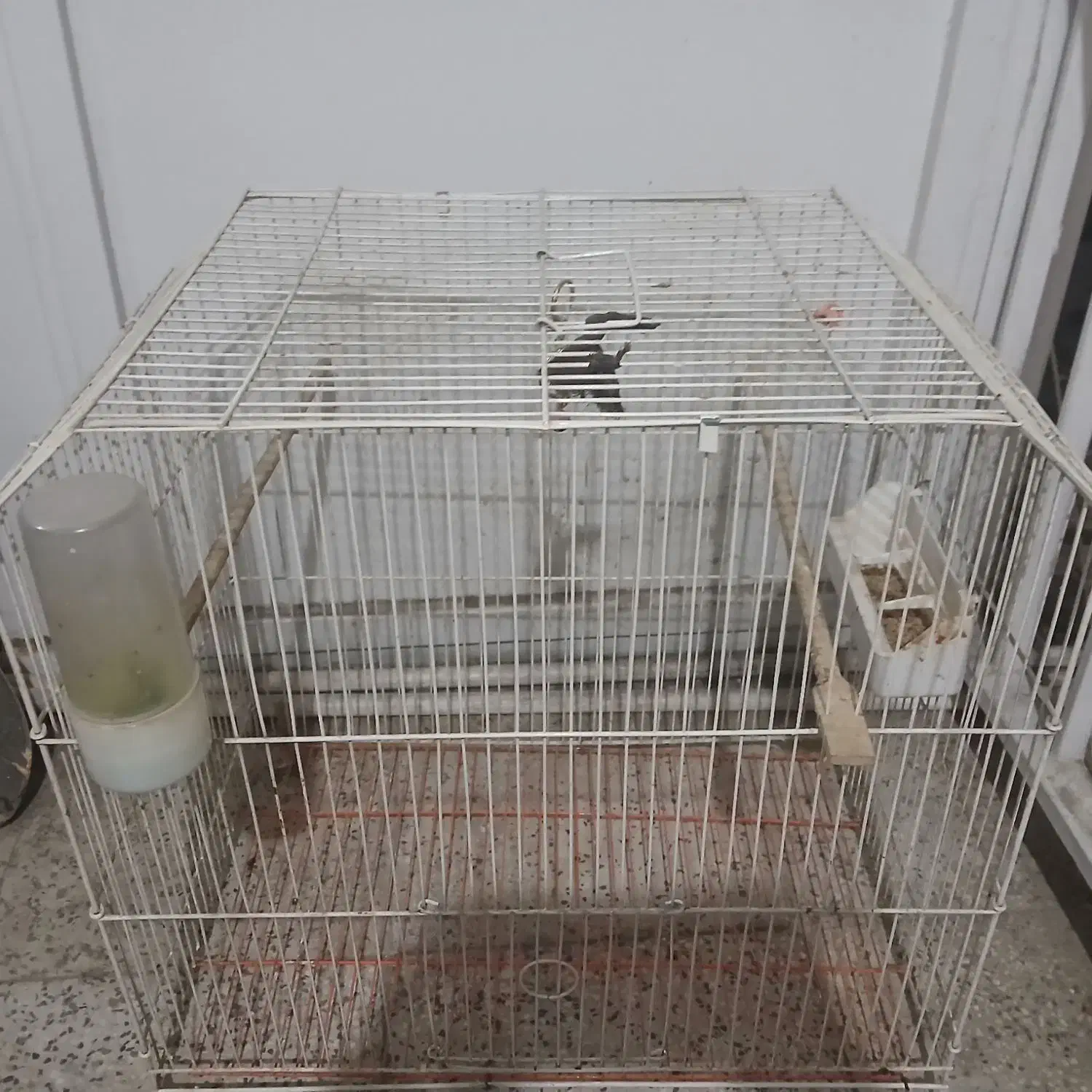 قفس|لوازم جانبی حیوانات|تهران, پرستار|دیوار