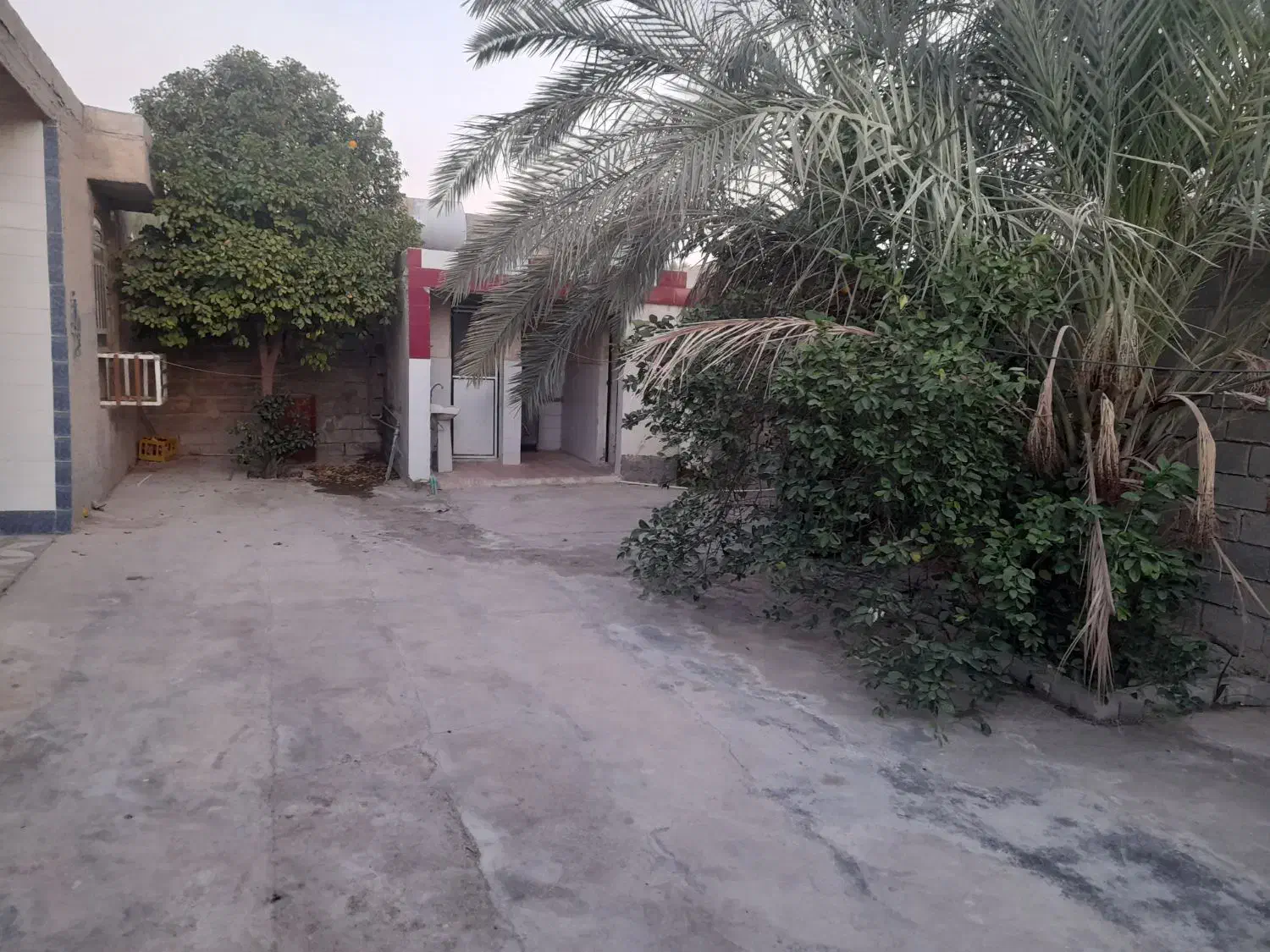 خانه مبله در چاهتلخ شمالی|اجارهٔ کوتاهمدت آپارتمان و سوئیت|دلوار, |دیوار