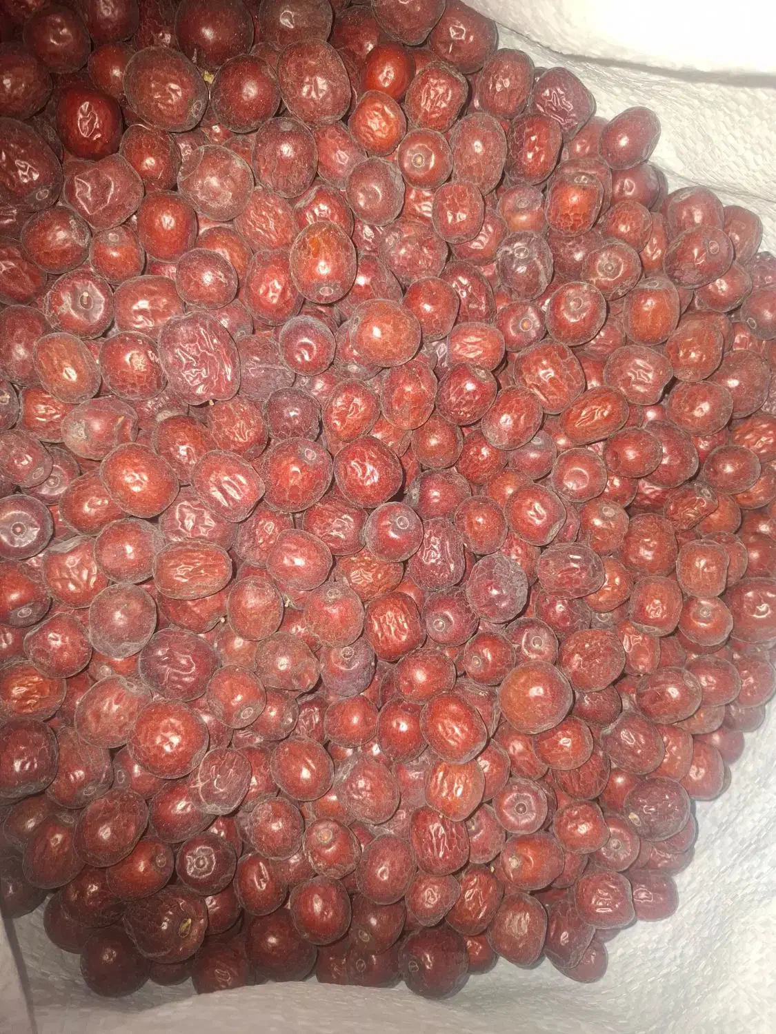 عناب|خوردنی و آشامیدنی|تهران, شهرک دانشگاه|دیوار