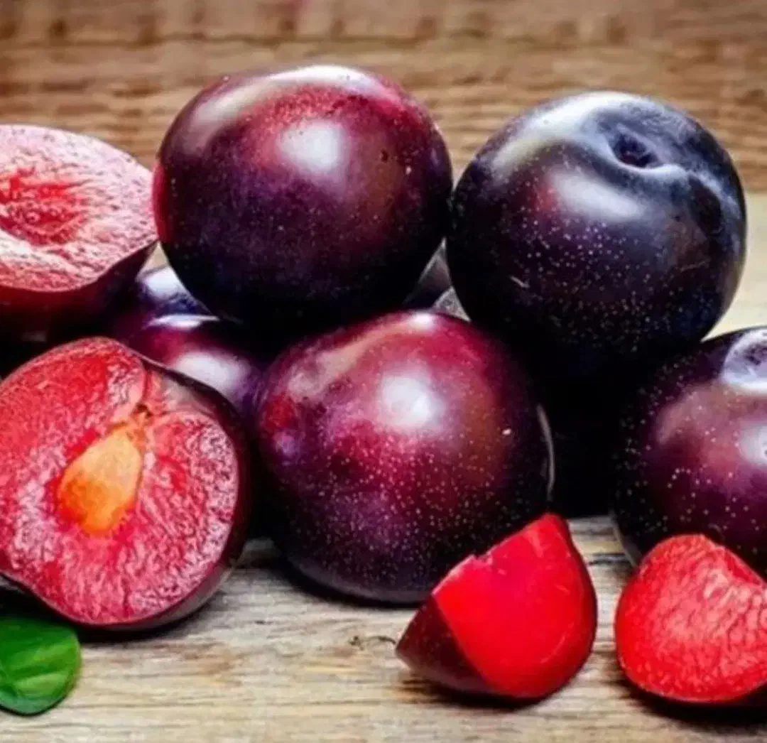 نهال آلو اختری با کیفیت تضمین شده|خدمات باغبانی و درختکاری|سلماس, |دیوار