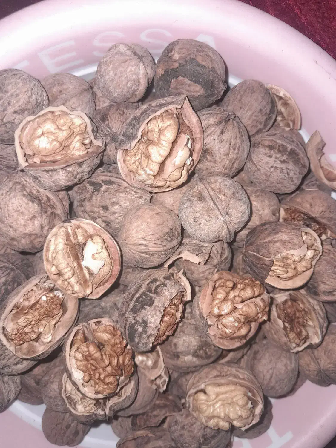 گردوی خوشممزه باکیفیت بقیع|خوردنی و آشامیدنی|نیشابور, سرآب کوشک|دیوار