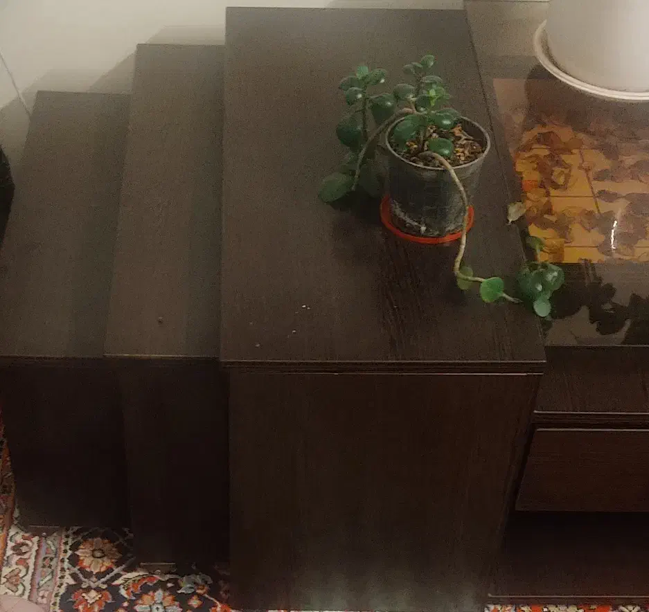 میز جلو مبلی|مبلمان خانگی و میز عسلی|بجنورد, |دیوار