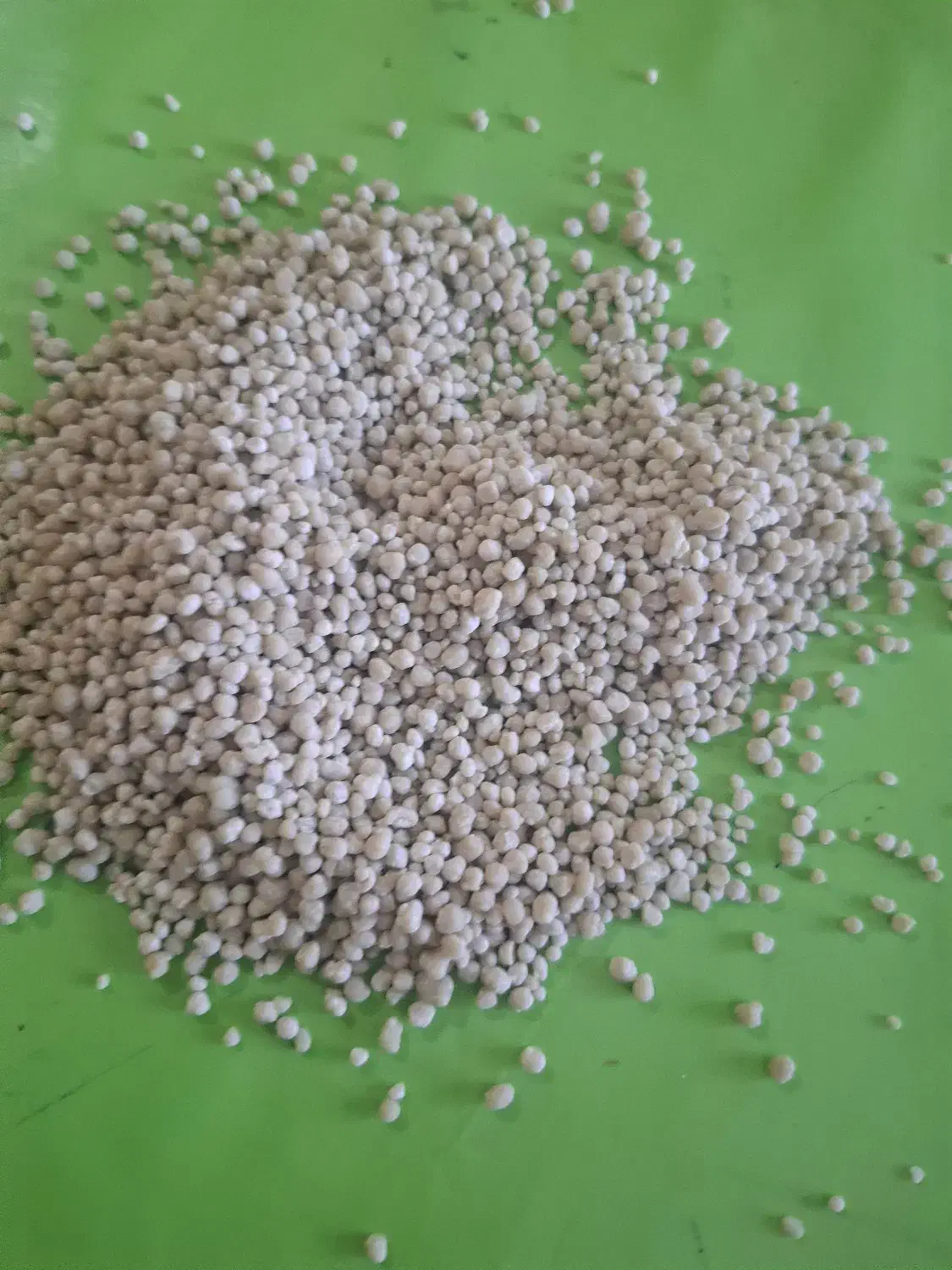 کود دی آمونیوم فسفات اصلی پتروشیمی رازی|خدمات باغبانی و درختکاری|کرمانشاه, |دیوار