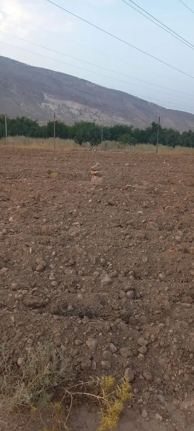 زمین جهت باغ|فروش زمین و ملک کلنگی|فسا, |دیوار