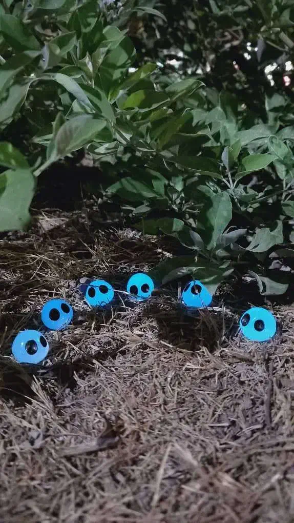 شبتاب|بدلیجات|بندر امام خمینی, |دیوار