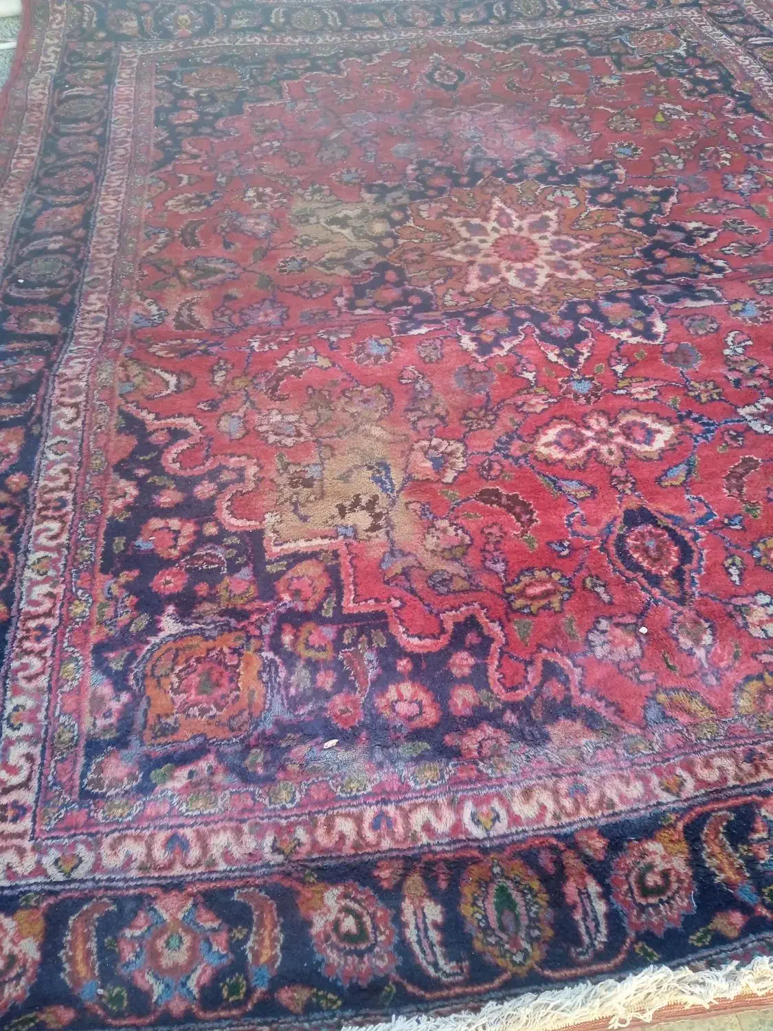 فرش دستباف|فرش|زاهدان, |دیوار