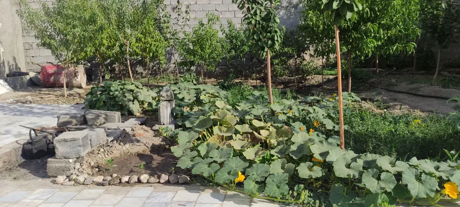 اجاره کوتاه مدت ویلا باغ در روستا|اجارهٔ کوتاهمدت ویلا و باغ|دلبران, |دیوار