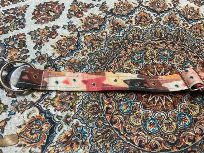 قلاده سگ|لوازم جانبی حیوانات|رشت, جانبازان|دیوار