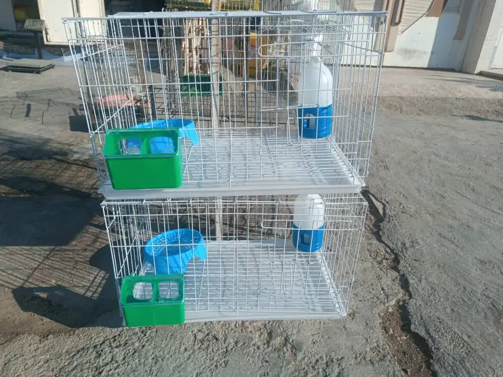 قفس کبوتری|لوازم جانبی حیوانات|برازجان, |دیوار