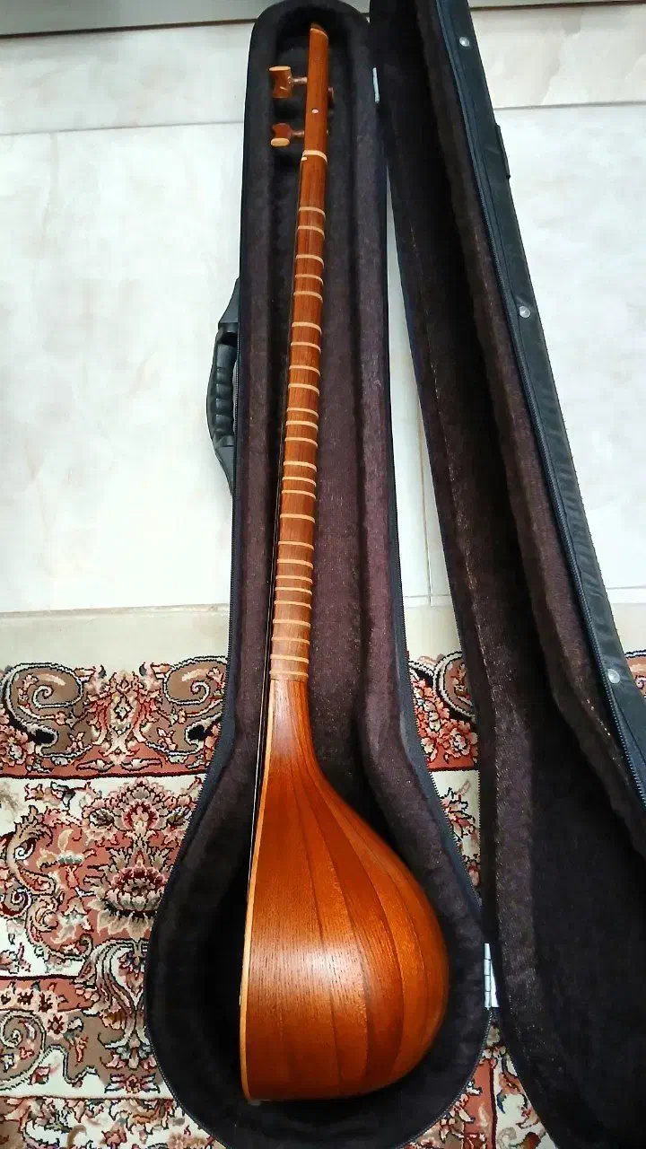 سه تار|سازهای سنتی|پاکدشت, پاکدشت (مامازند)|دیوار