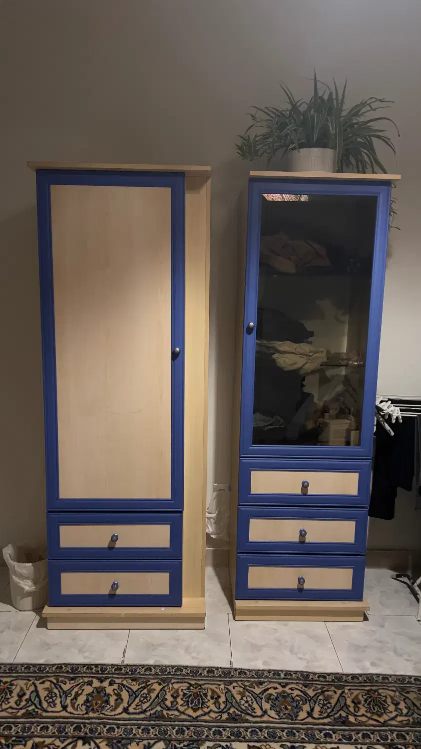 کمد لباس آلمانی|جاکفشی، کمد، دراور|فردیس, نسترن غربی|دیوار