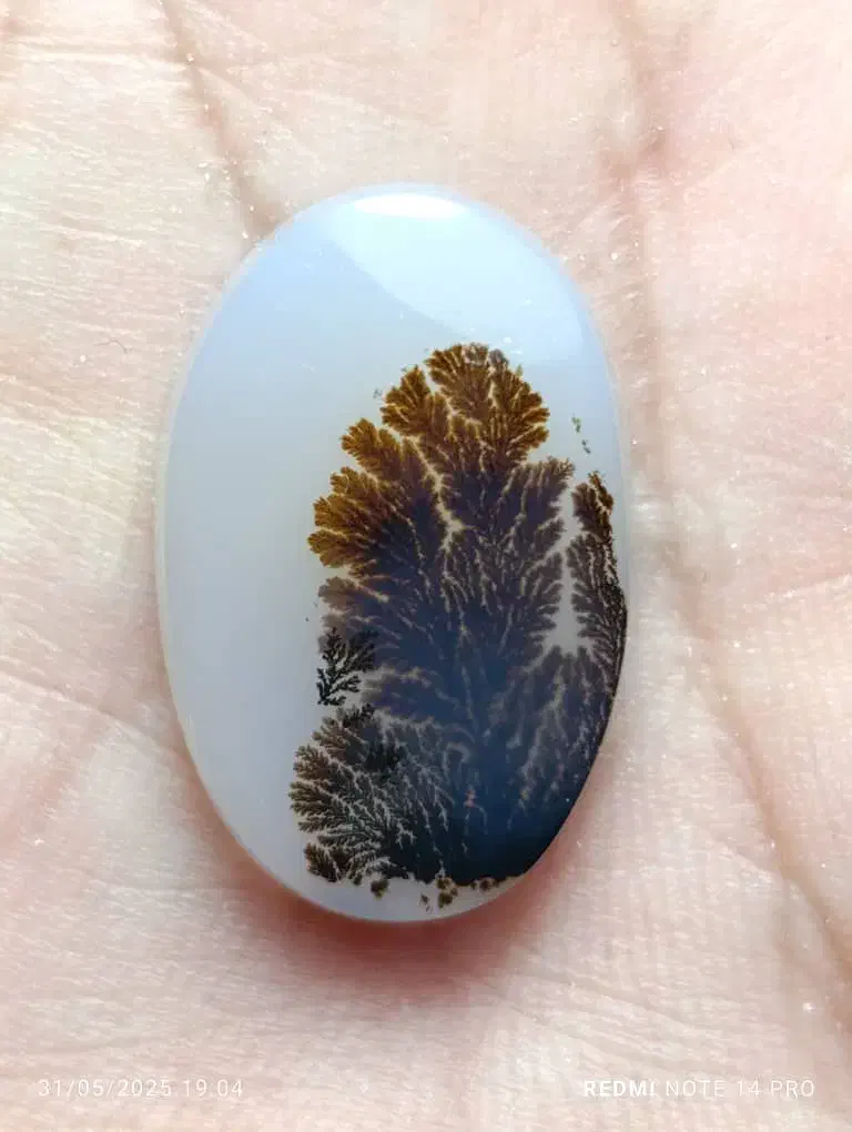 عقیق شجر قاین|جواهرات|اردبیل, |دیوار