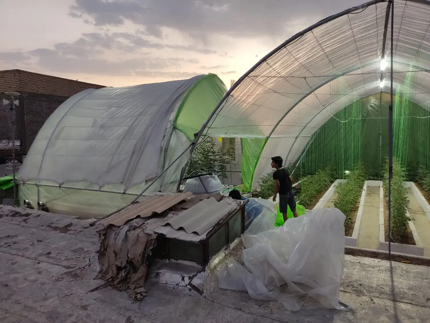 سازه گلخانه|عمدهفروشی|شیراز, شریفآباد|دیوار