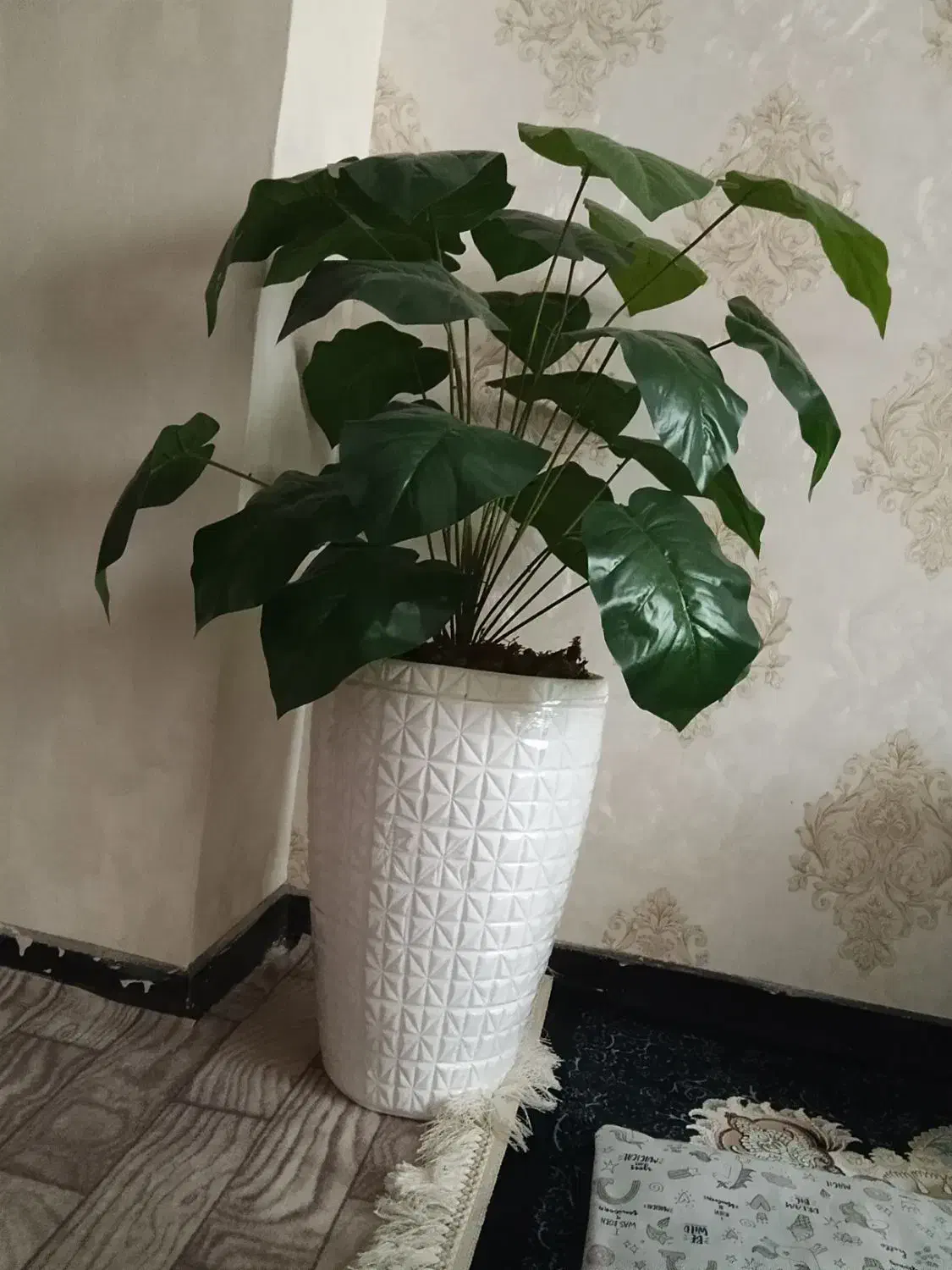 یک عدد قالیچه گلیمی|گلیم، جاجیم، گبه|زاهدان, |دیوار